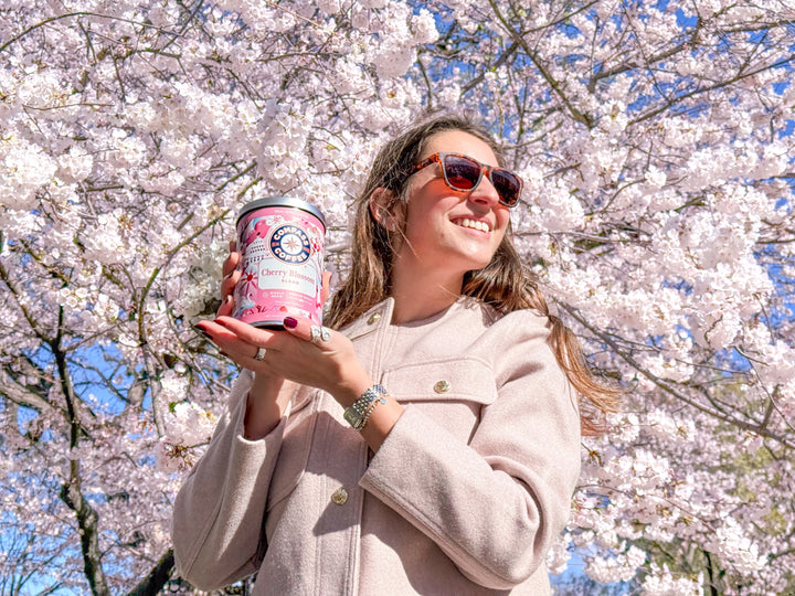 A Tactical Guide to Seeing the Cherry Blossoms in Washington, DC