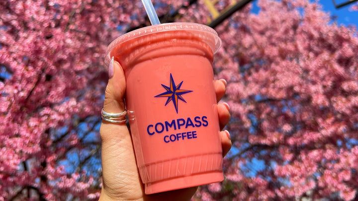 Celebrate the spirit of spring with Compass Coffee's Cherry Blossom Syrup