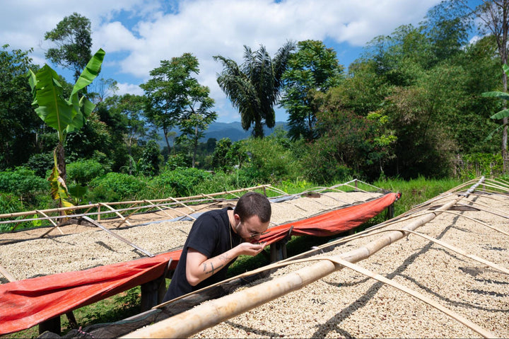 compass-coffee-roaster-smelling-coffee